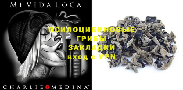 дживик Осинники