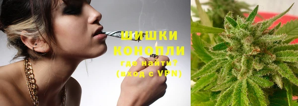 трава Осташков